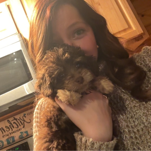 Meet your Posher, Alexa - Picture 6 of 7